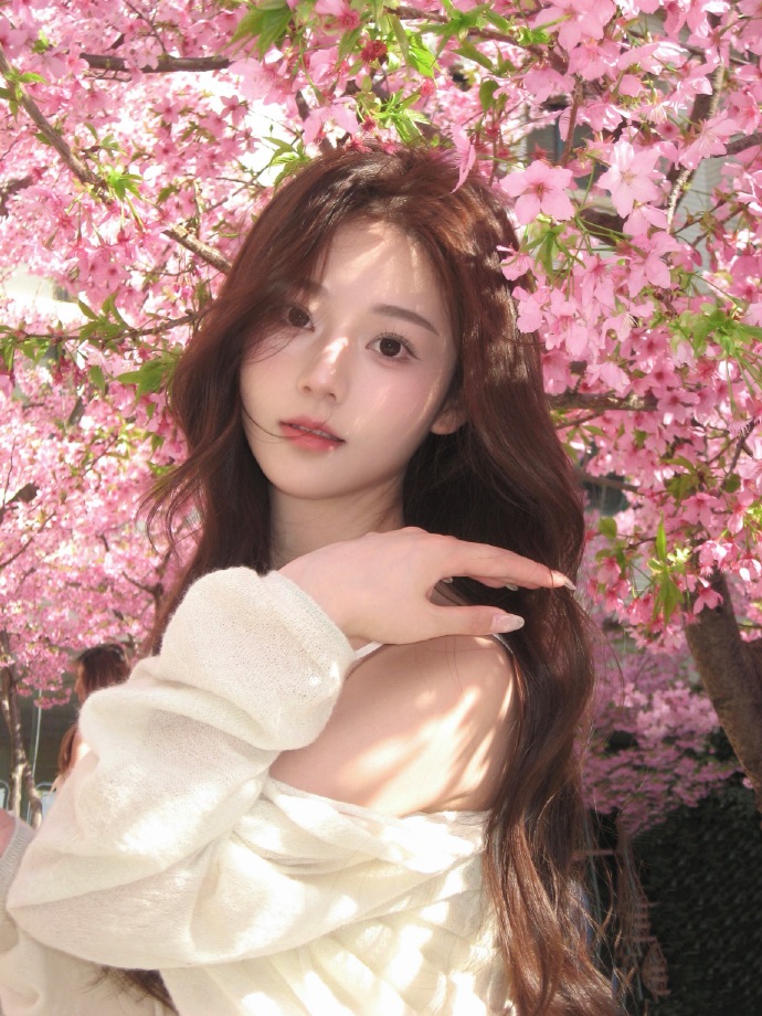 能否提升收录质量？